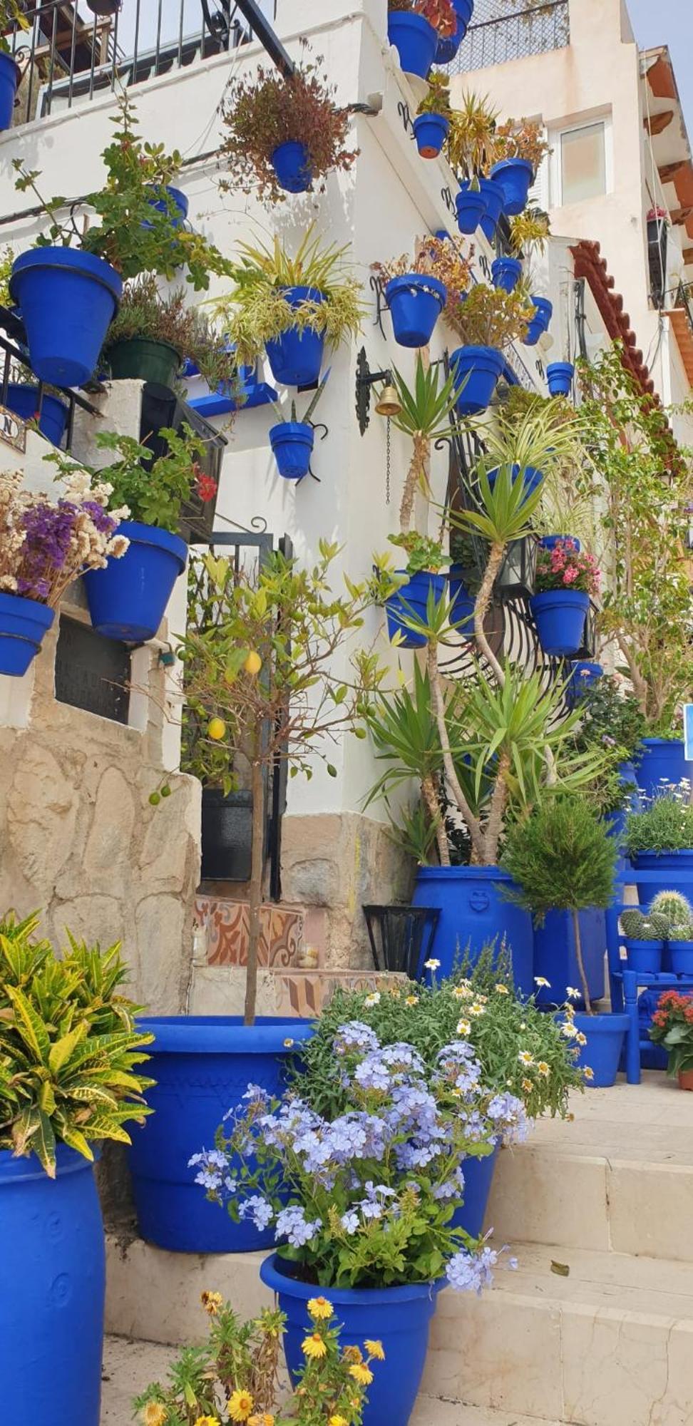 El Barrio Alicante , Playa Y Casco Antiguo Eksteriør bilde